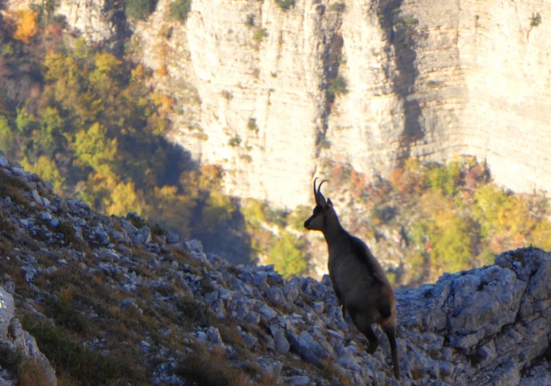 Monti Sibillini 2015